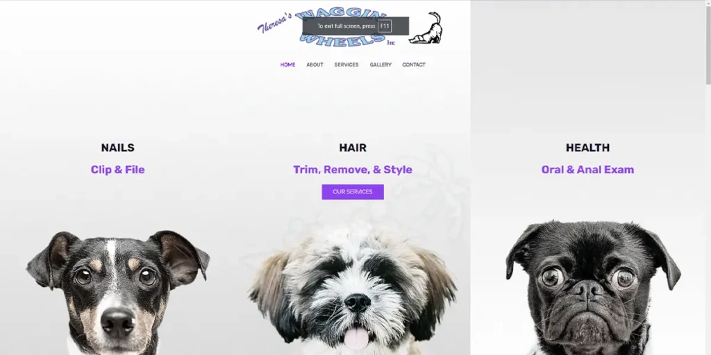 website-design-template-02